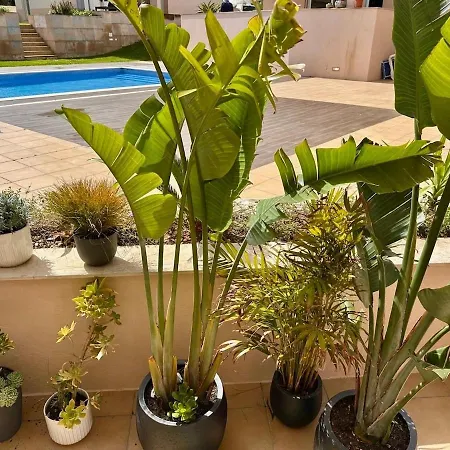 شقة Casa Solaris Algarve بورغاو