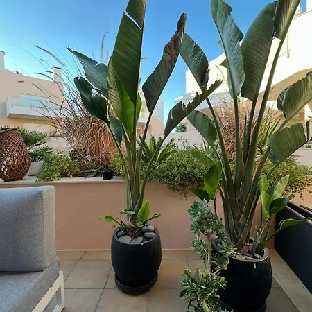شقة Casa Solaris Algarve بورغاو