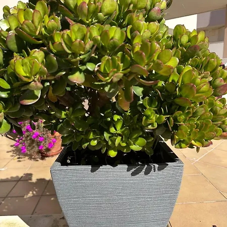 Casa Solaris Algarve Apartman Burgau