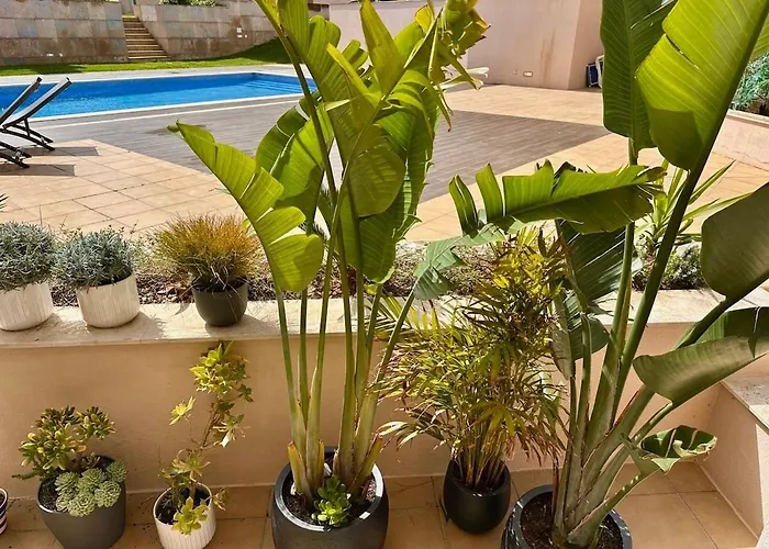 Lägenhet Casa Solaris Algarve Burgau