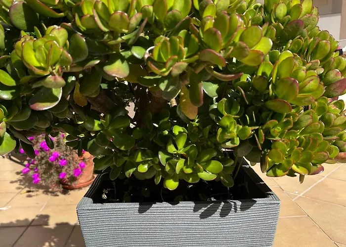 Casa Solaris Algarve Lägenhet Burgau