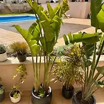 公寓 Casa Solaris Algarve 布尔高