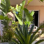 Casa Solaris Algarve 公寓