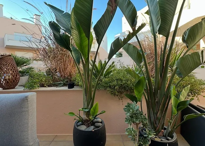 Διαμέρισμα Casa Solaris Algarve Burgau